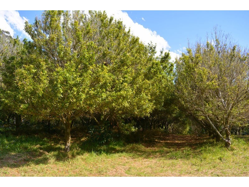 148 Osprey Drive, Urunga NSW 2455