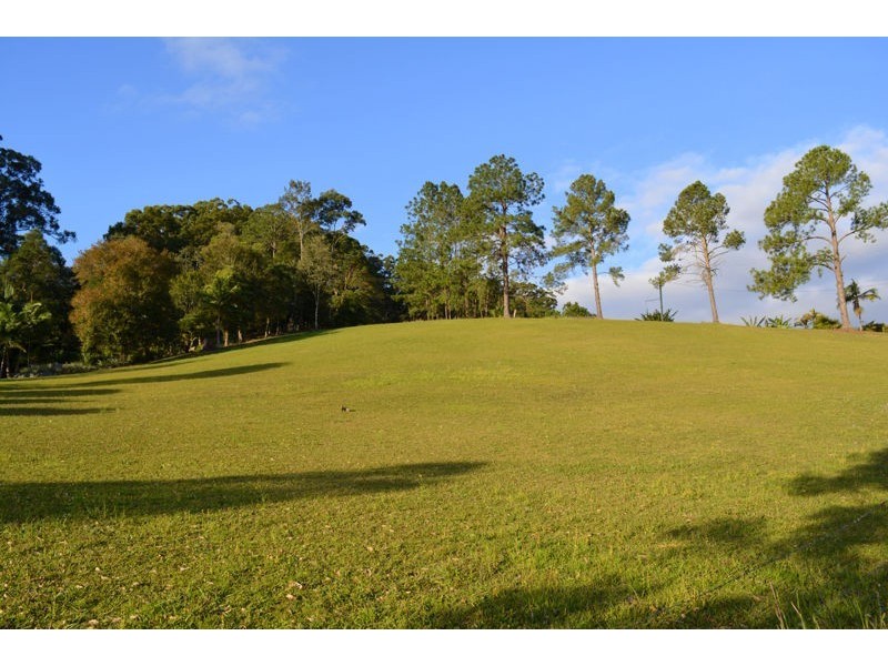 21 Smiths Road, Repton NSW 2454