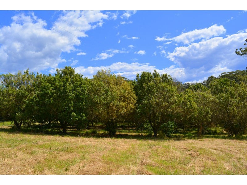 110 Osprey Drive, Urunga NSW 2455