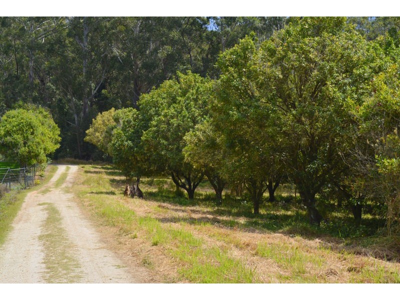 110 Osprey Drive, Urunga NSW 2455