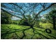 50 Greenaways Road, Nambucca Heads NSW 2448