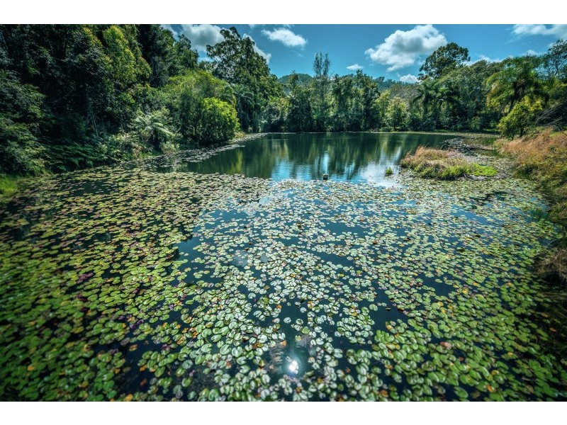 50 Greenaways Road, Nambucca Heads NSW 2448