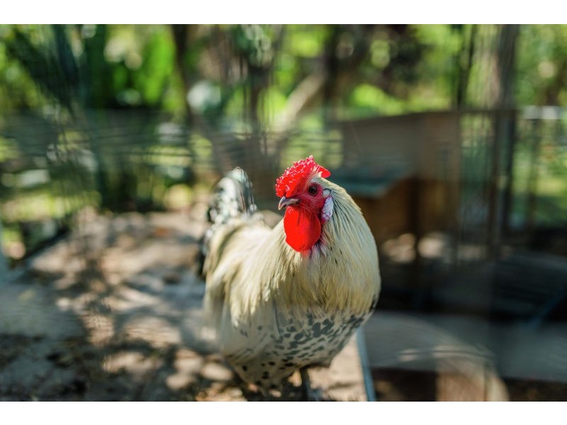 23 South Arm Road, Urunga NSW 2455