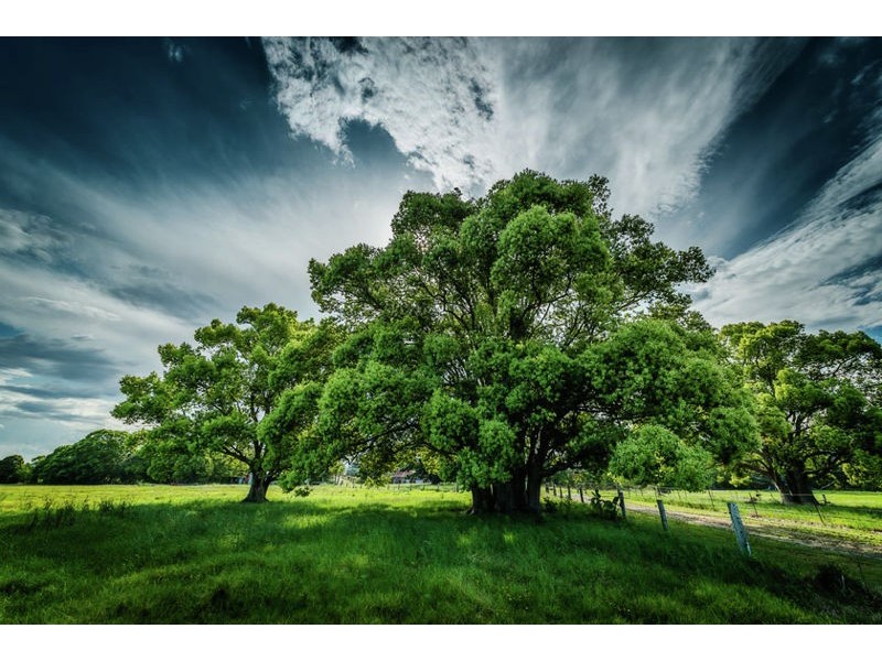 111 Old Ferry Road, Urunga NSW 2455