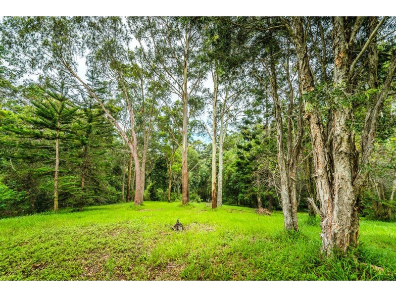 19 Tuckers Rock Road, Repton NSW 2454