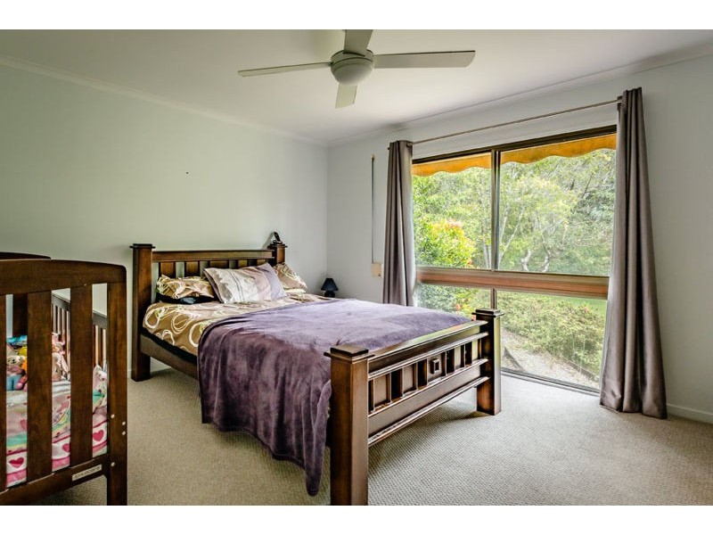 19 Tuckers Rock Road, Repton NSW 2454