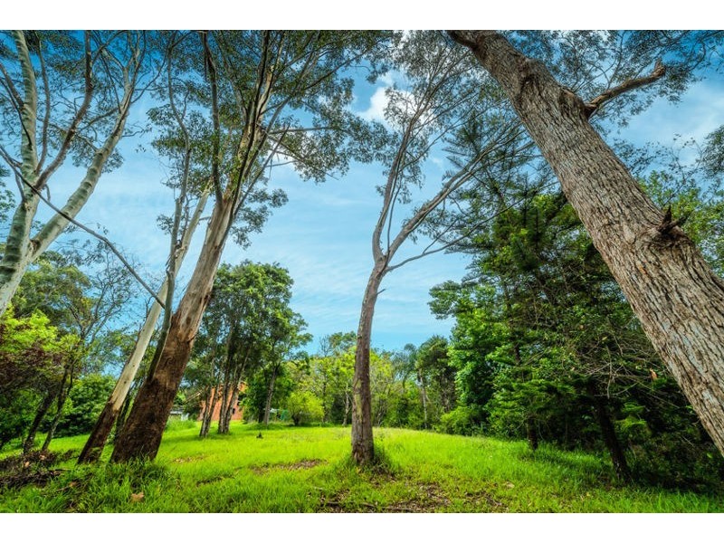 19 Tuckers Rock Road, Repton NSW 2454