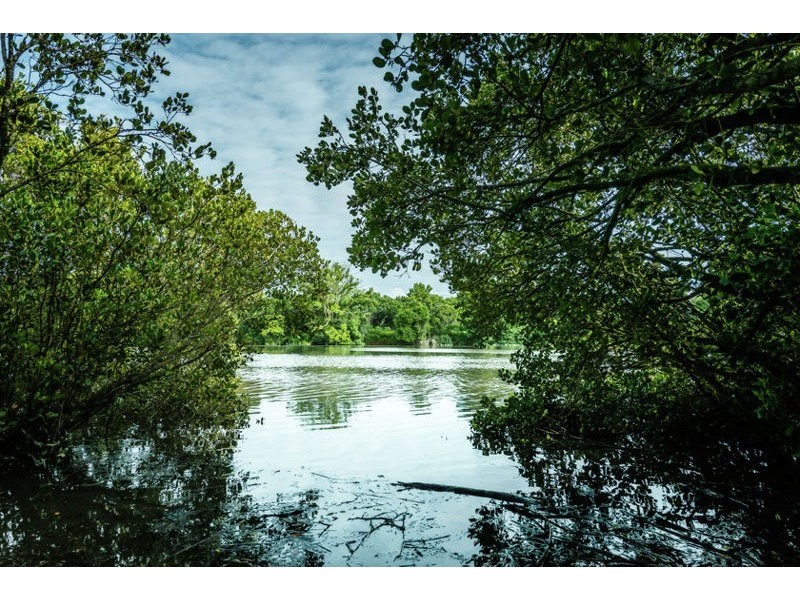 56 Old Pacific Highway, Raleigh NSW 2454