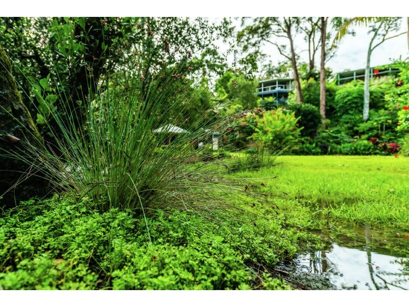 56 Old Pacific Highway, Raleigh NSW 2454