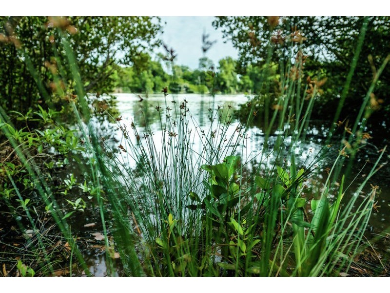 56 Old Pacific Highway, Raleigh NSW 2454