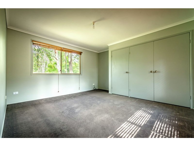 54 Lyon Street, Repton NSW 2454