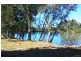 313 South Arm Rd, Urunga NSW 2455