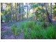 313 South Arm Rd, Urunga NSW 2455