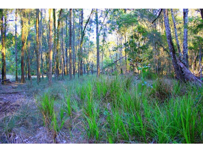 313 South Arm Rd, Urunga NSW 2455