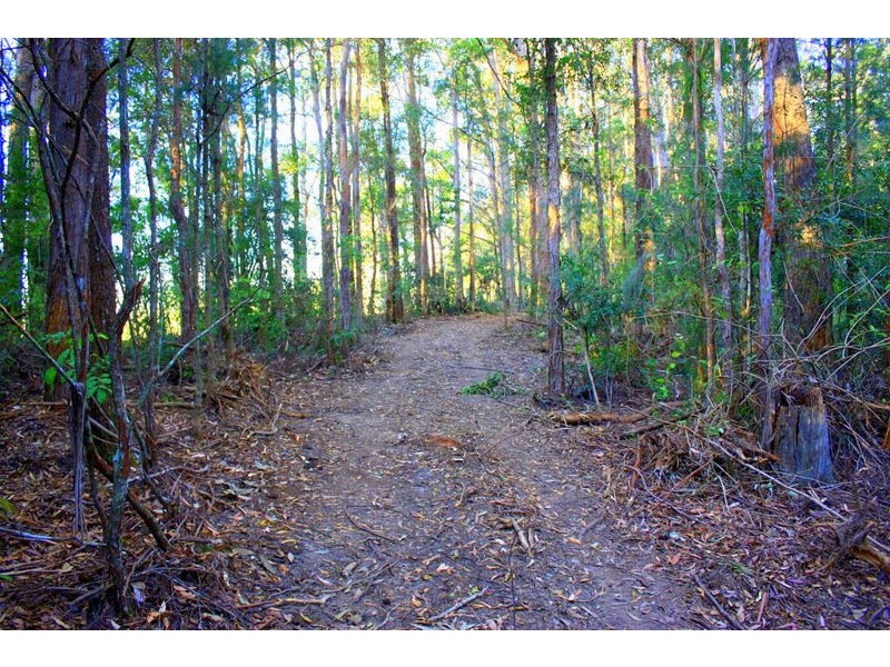 313 South Arm Rd, Urunga NSW 2455