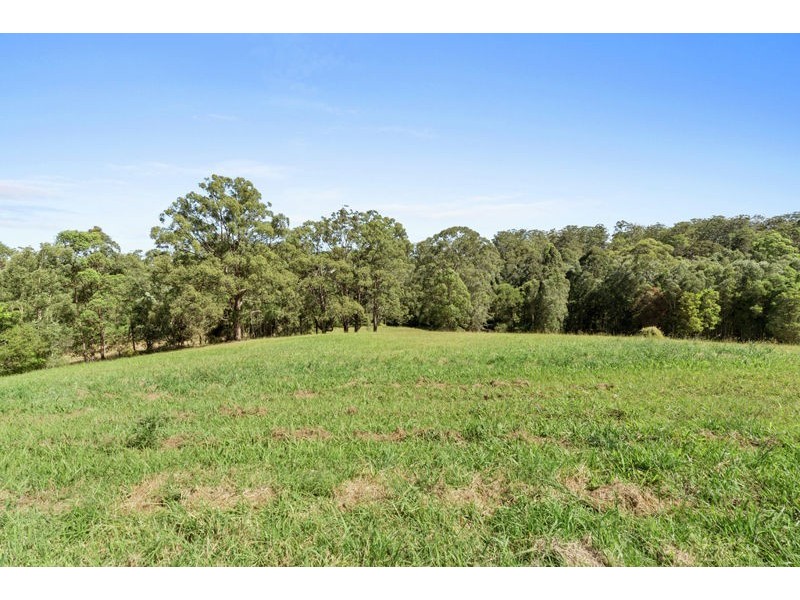 163 Waterfall Way, Raleigh NSW 2454