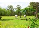 3982 Giinagay Way, Urunga NSW 2455