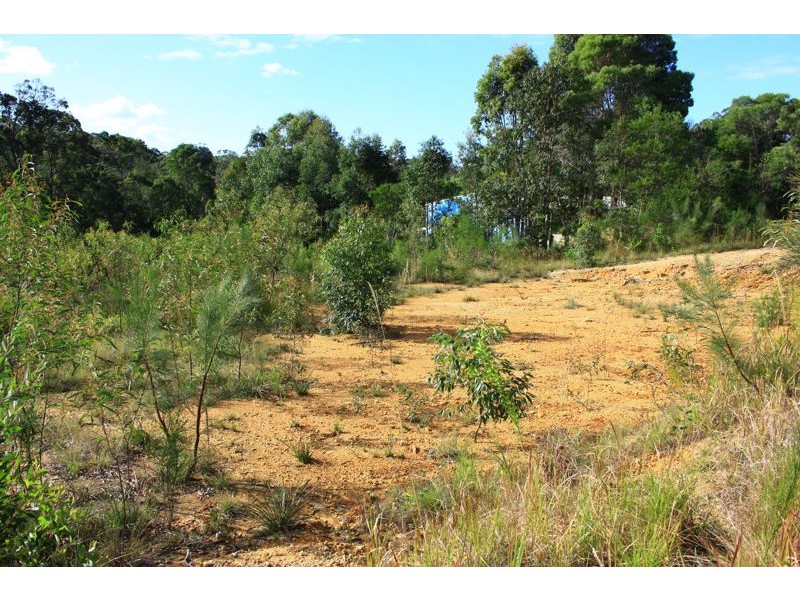 11 Alex Pike Drive, Raleigh NSW 2454