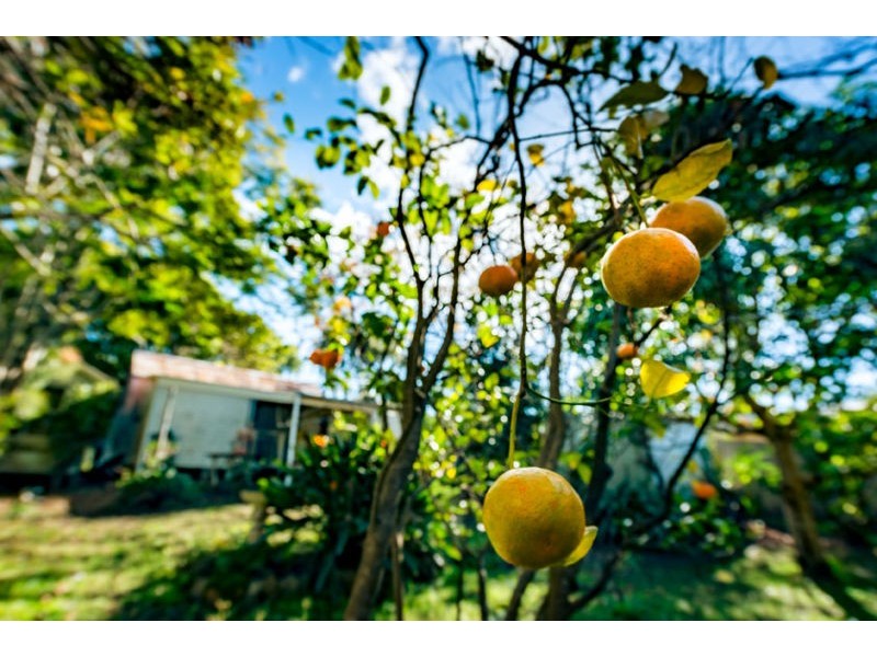 4144 Giinagay Way, Urunga NSW 2455