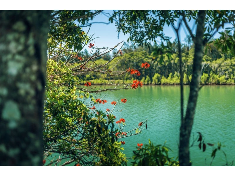 8 Old Punt Road, Urunga NSW 2455