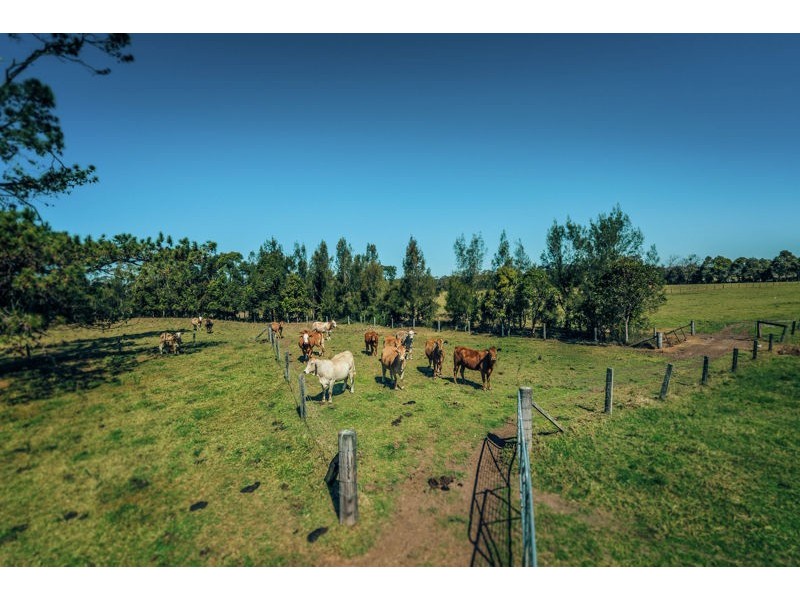 8 Old Punt Road, Urunga NSW 2455