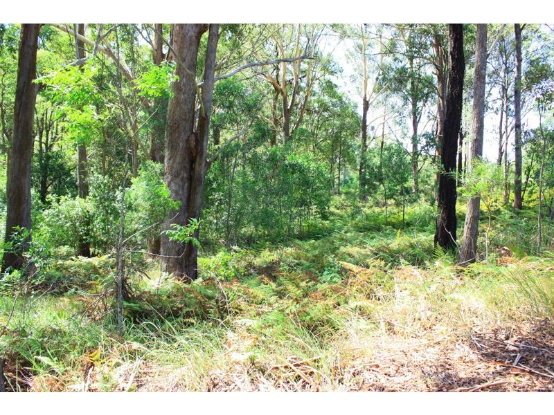 Lot 162 Old Pacific Highway, Raleigh NSW 2454