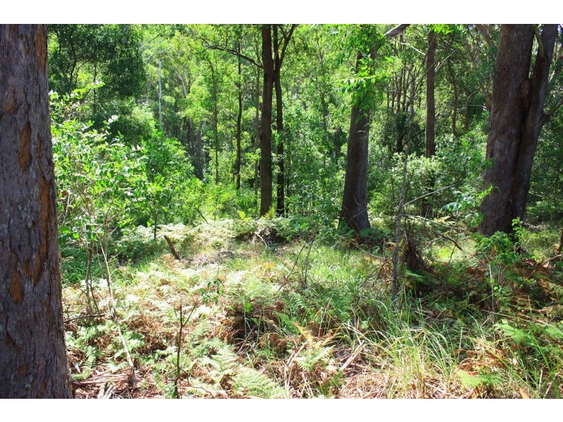 Lot 162 Old Pacific Highway, Raleigh NSW 2454
