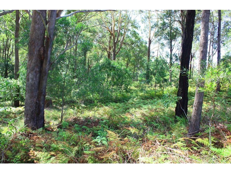 Lot 162 Old Pacific Highway, Raleigh NSW 2454