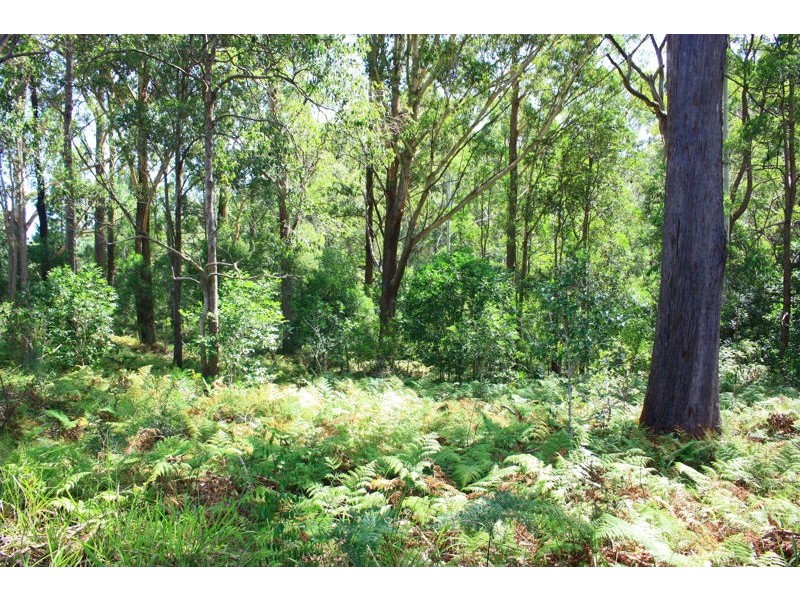 Lot 162 Old Pacific Highway, Raleigh NSW 2454
