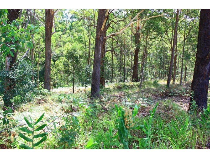 Lot 162 Old Pacific Highway, Raleigh NSW 2454