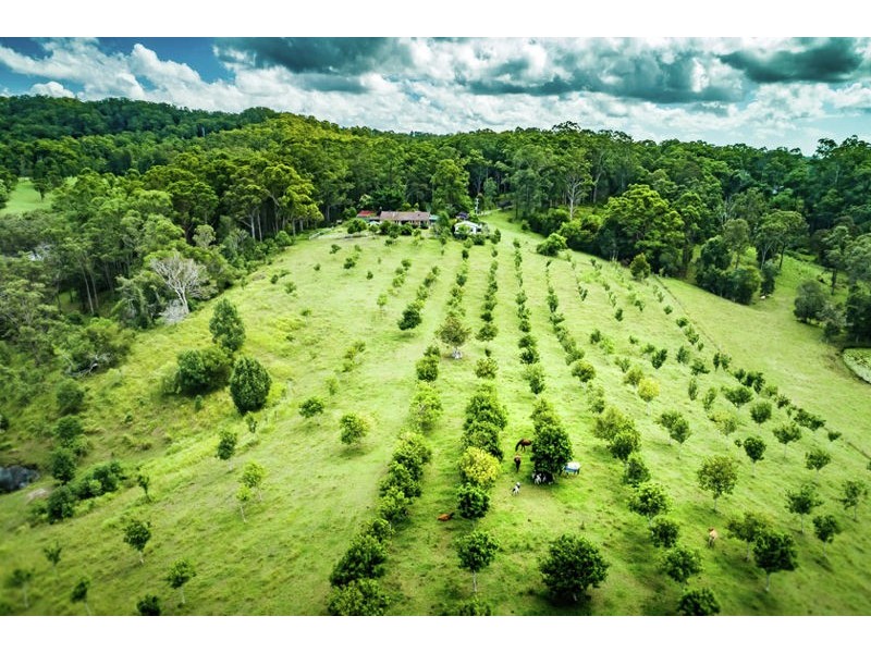 360 South Arm Road, Urunga NSW 2455