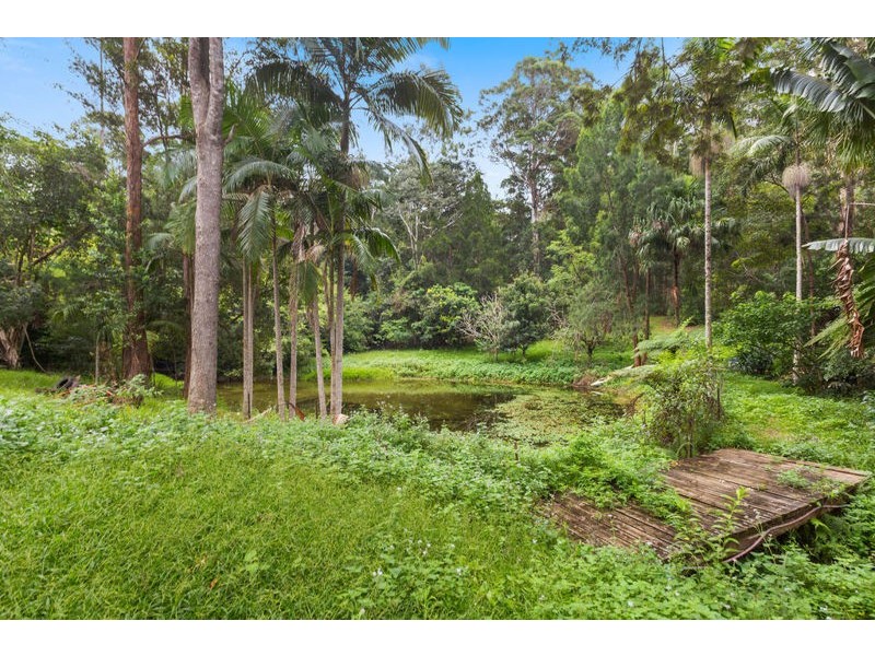 61 Elk Avenue, Repton NSW 2454