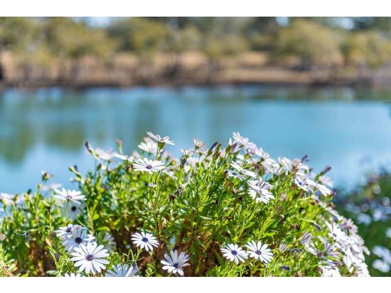 17 Newry Island Drive, Urunga NSW 2455