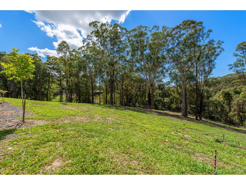 139 Old Pacific Highway, Raleigh NSW 2454