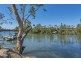 4419 Giinagay Way, Urunga NSW 2455