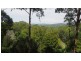 39 Perrys Road, Repton NSW 2454