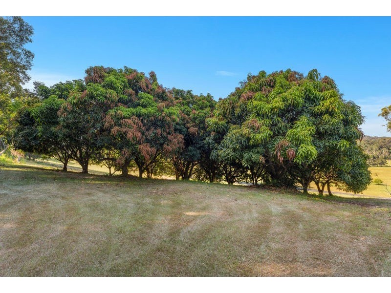 245 Valla Road, Valla NSW 2448