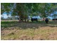 Lot 124 – 261 South Arm Road, Urunga NSW 2455