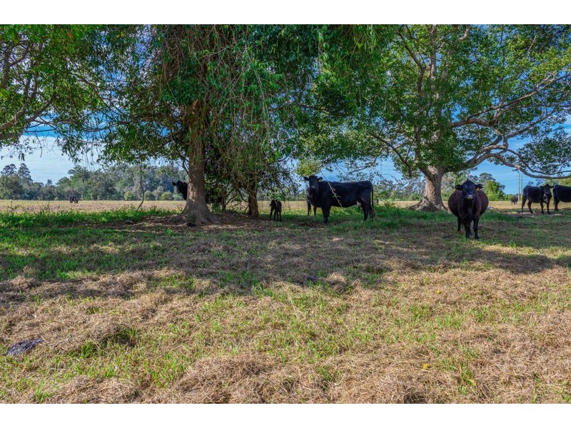 Lot 124 – 261 South Arm Road, Urunga NSW 2455