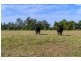 Lot 124 – 261 South Arm Road, Urunga NSW 2455