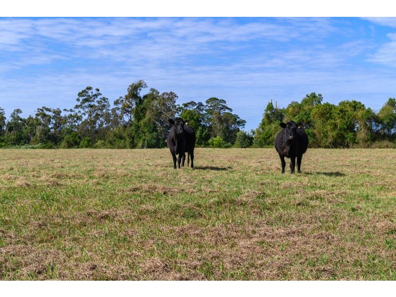 Lot 124 – 261 South Arm Road, Urunga NSW 2455
