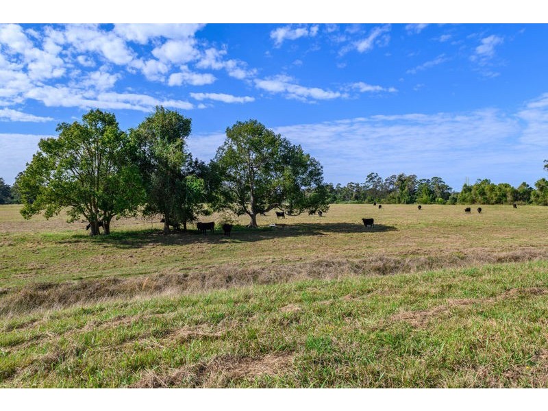 Lot 124 – 261 South Arm Road, Urunga NSW 2455
