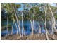 Lot 124 – 261 South Arm Road, Urunga NSW 2455