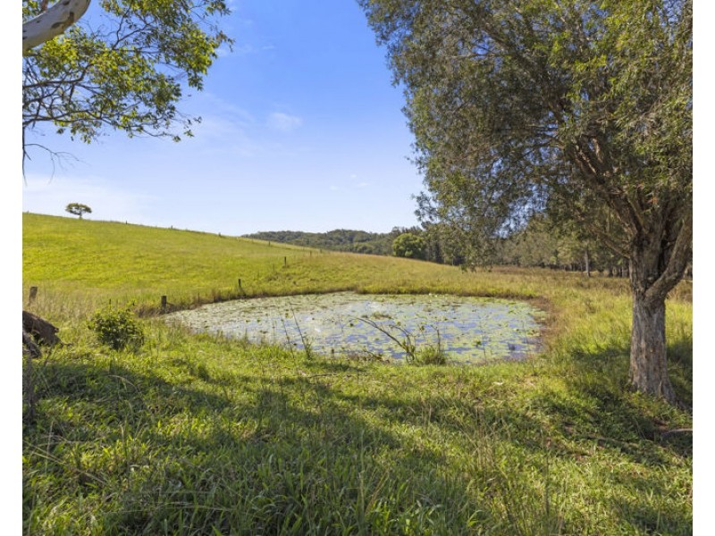 504 South Arm Road, Urunga NSW 2455