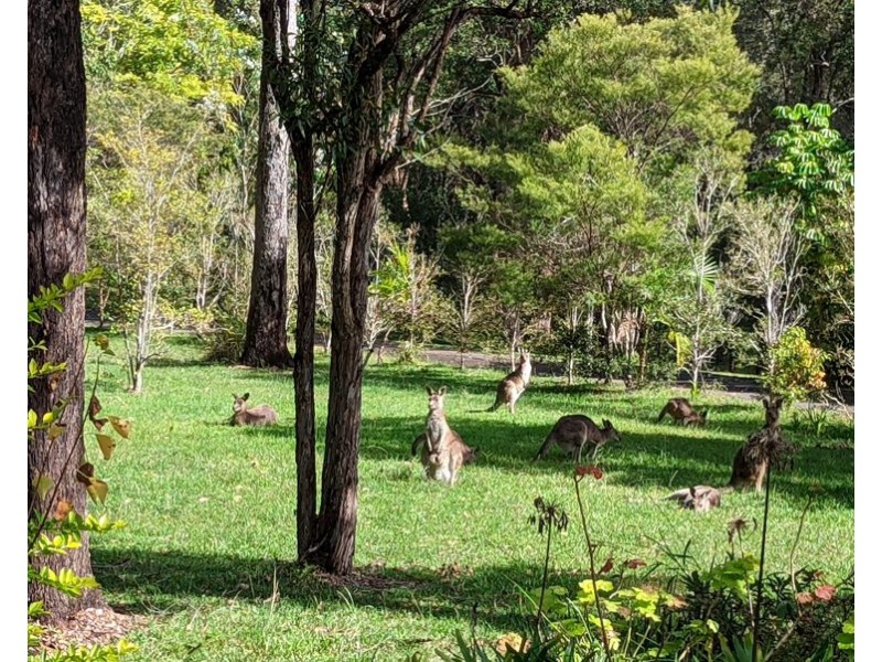 14 Odalberree Drive, Urunga NSW 2455