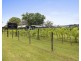 36 Queen Street, Raleigh NSW 2454