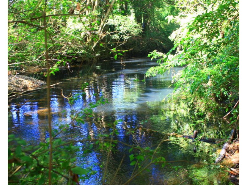 114 Gleniffer Road, Bonville NSW 2441