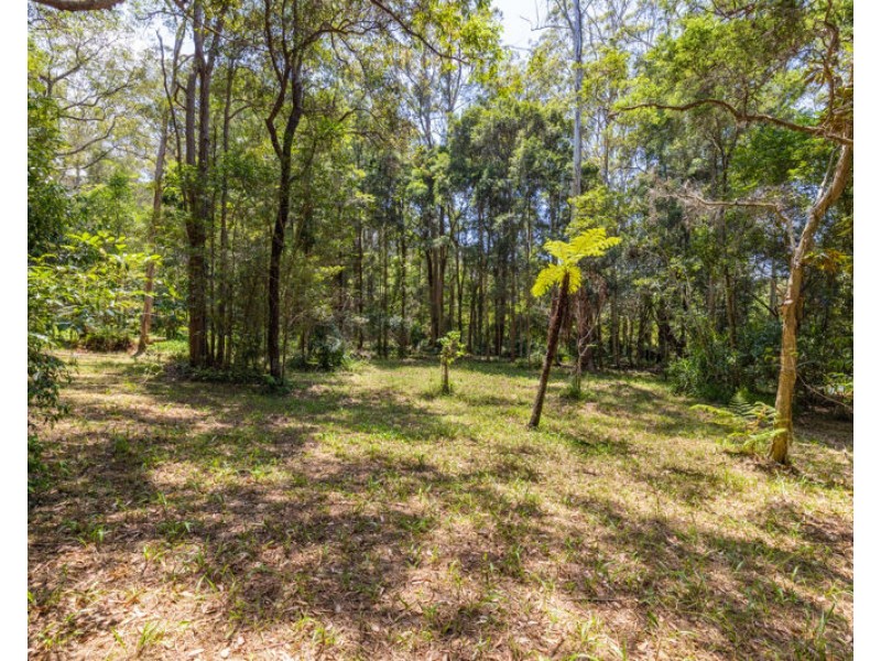 7 Misty Close, Raleigh NSW 2454