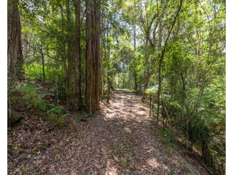 7 Misty Close, Raleigh NSW 2454