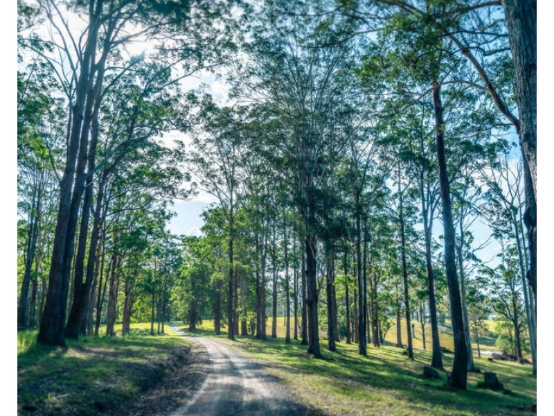 50 School Hill Road, Urunga NSW 2455